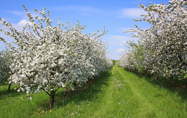 Итоги дня: 23 апреля