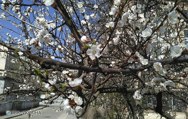 Підсумки дня: 26 квітня