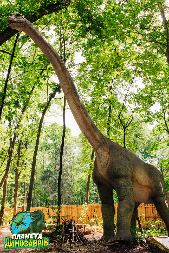 Грізні хижаки та велетенські травоїдні: киян запрошують відвідати "Планету динозаврів"