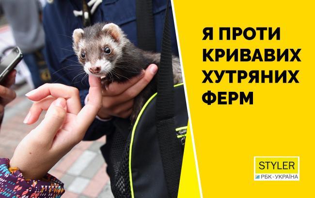 Підсумки дня: 4 липня