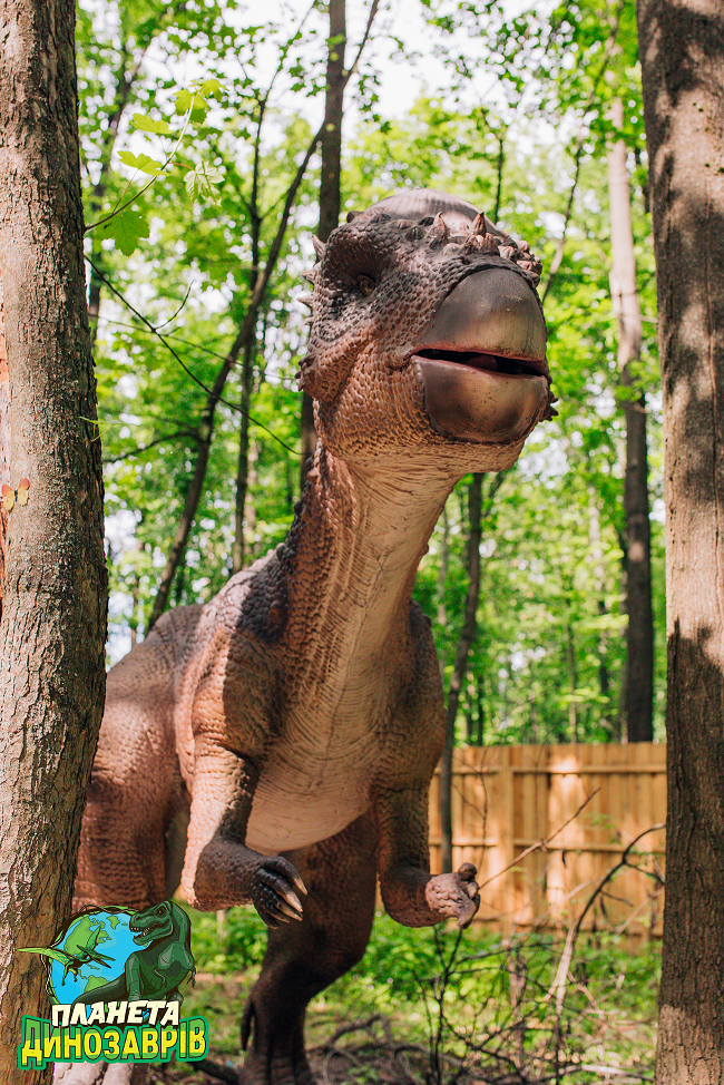 Грізні хижаки та велетенські травоїдні: киян запрошують відвідати "Планету динозаврів"
