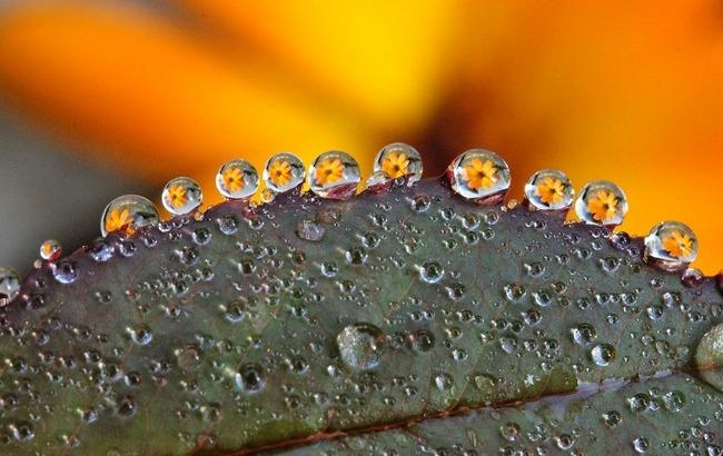 Підсумки дня: 20 липня