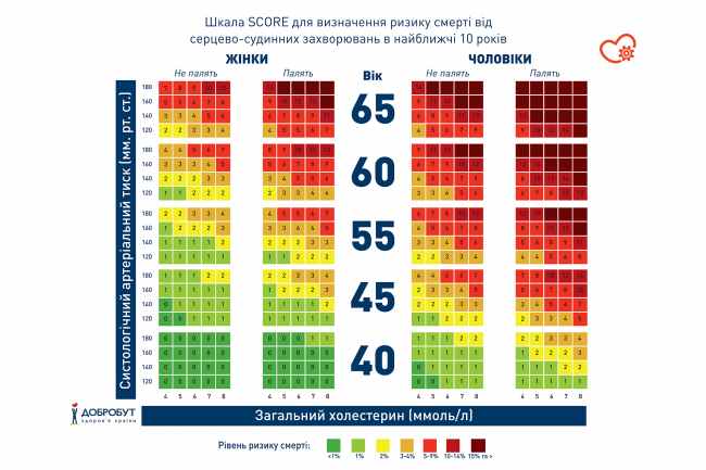 5 обов'язкових обстежень на прийомі у кардіолога
