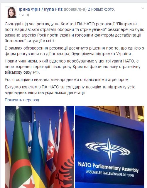 На заседании ПА НАТО Россию официально признали агрессором, - нардеп