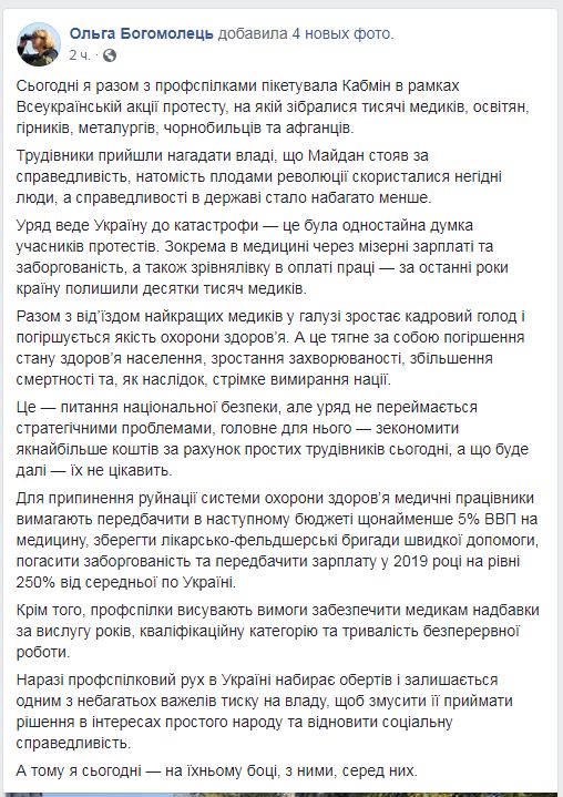 Богомолець під Кабміном: в критичній ситуації в країні винний уряд Гройсмана