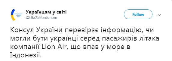 Крушение Boeing в Индонезии: МИД проверяет наличие украинцев на борту