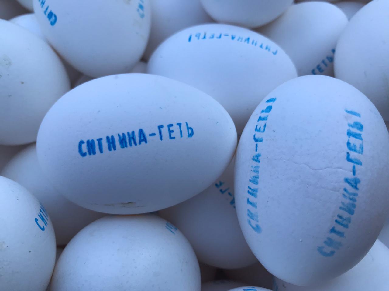 Адвокат Онищенко буде судитися з НАБ