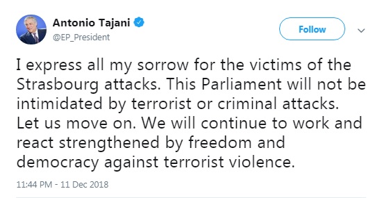 Європарламент не буде залякано стріляниною в Страсбурзі, - Таяні