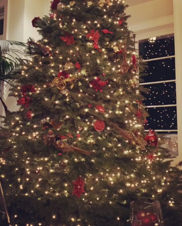 Если нет места - ставим на потолок: знаменитости показали новогодние елки