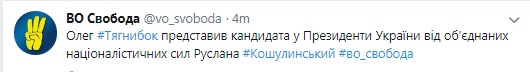 Націоналісти висунули єдиного кандидата в президенти