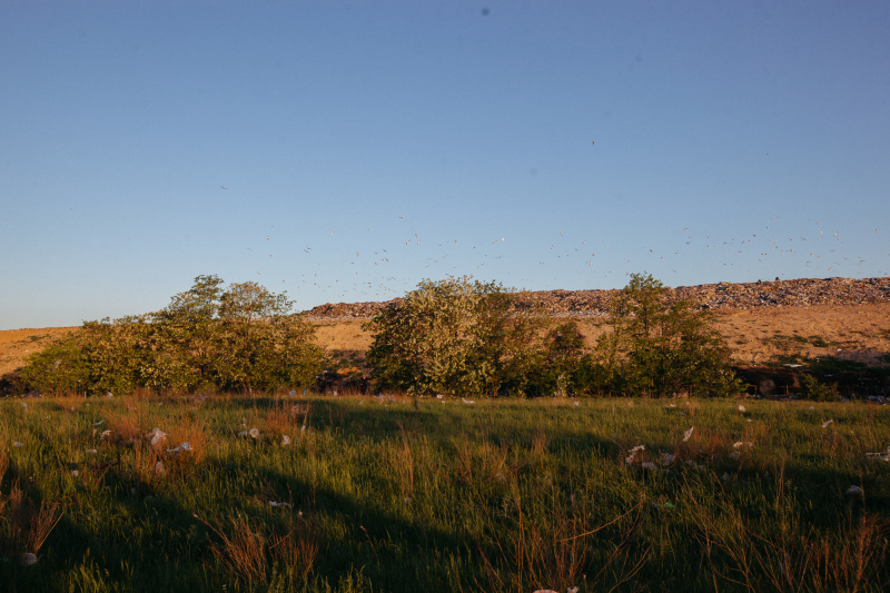 "Мусорная свалка и пластиковые пакеты": ONUKA и Алан Бадоев представили новый яркий клип