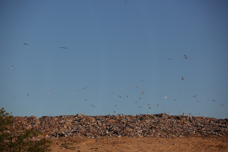 "Мусорная свалка и пластиковые пакеты": ONUKA и Алан Бадоев представили новый яркий клип