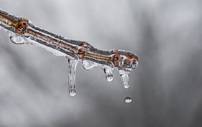 Какая погода будет в Крещенский вечер: прогноз на 18 января