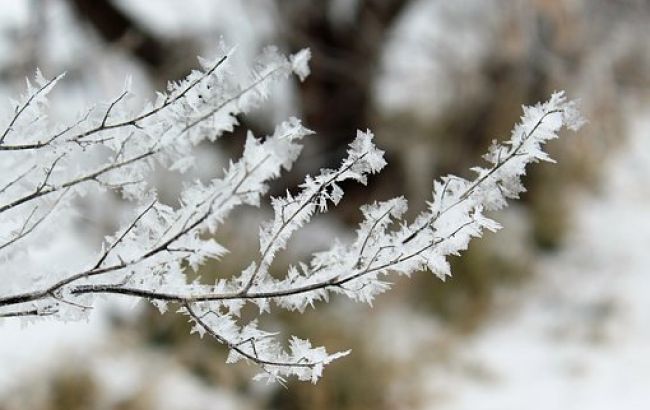 Морозы и снегопады: украинцам рассказали о погоде на выходных