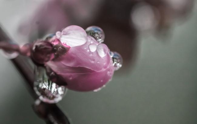 Підсумки дня: 3 липня