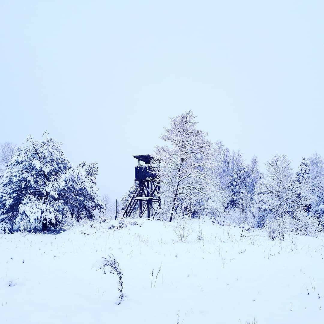 В Украину пришла сказочная зима: на фото попали невероятные пейзажи