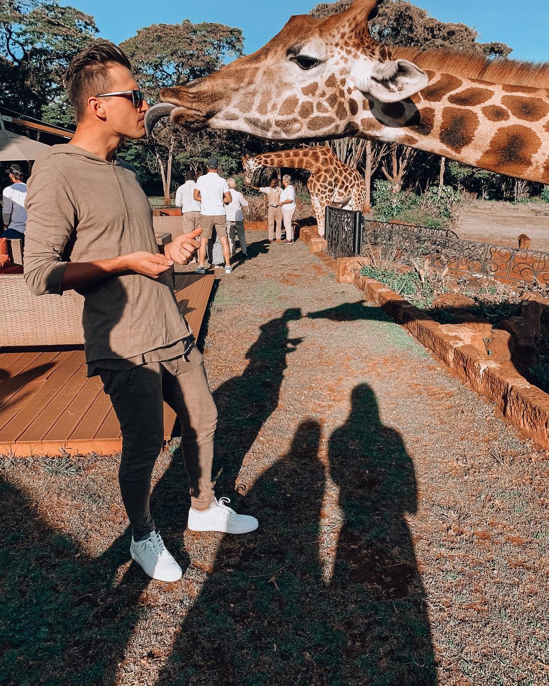 Завтрак с жирафом: украинский ведущий поразил сказочными фото из Африки