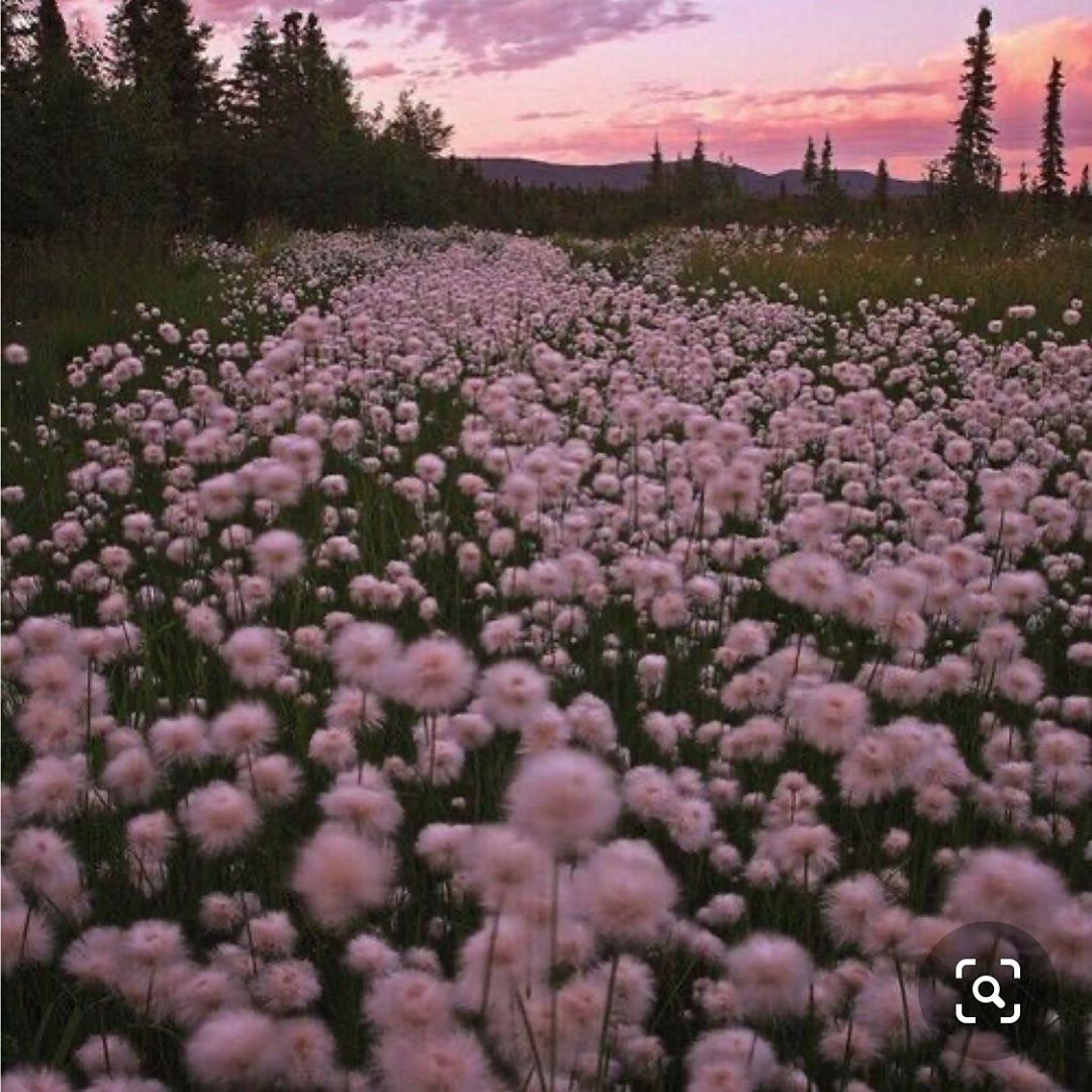 Заворотнюк вспомнила о депрессивном детстве и захотела нежности (фото)