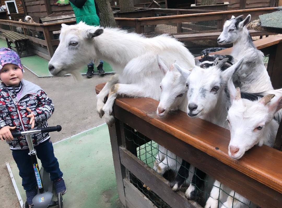 Самокати, кролики і кози: Слава з НеАнгелів умилила прогулянкою з мамою і дітьми