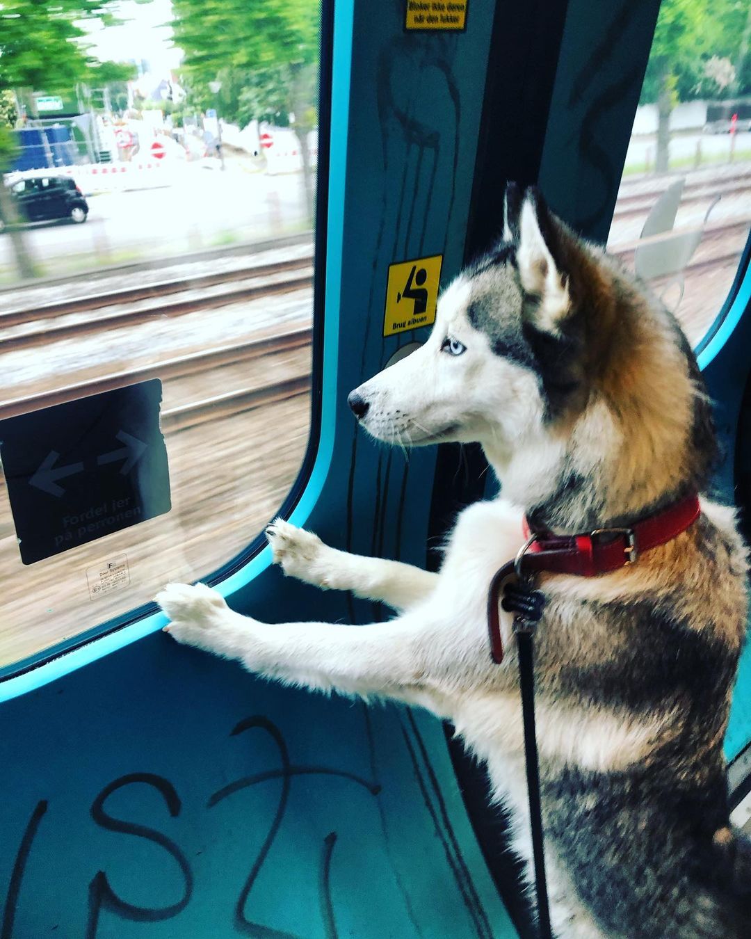 Укрзализныця vs DSB: из этих фото станет ясно, почему датчанин мыл поезд Киев-Измаил