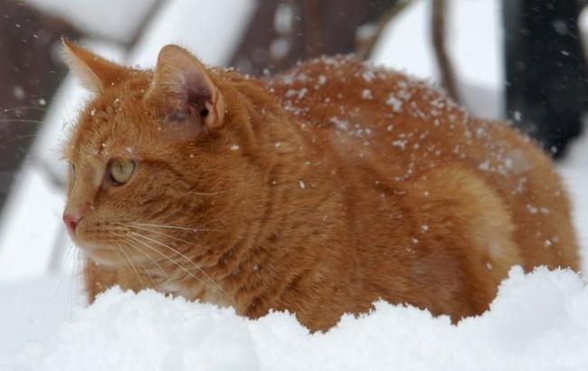 Підсумки дня: 26 жовтня
