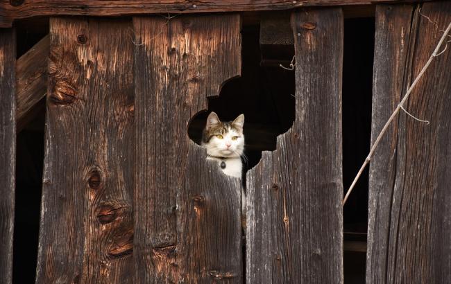 Итоги дня: 15 июня