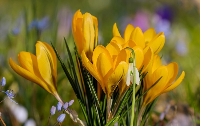 Синоптики пугают украинцев апрельским снегом