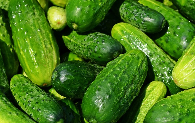 17 августа - народный праздник Авдотьи Огуречницы