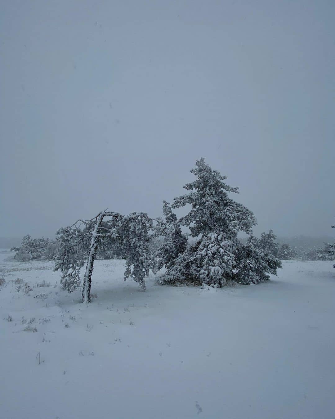 В Крим прийшла справжня зима: від краси перехоплює подих (фото, відео)