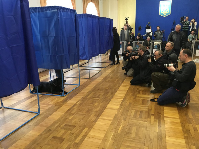 Курьезы на выборах 2019: пришельцы, собаки и кастрюли