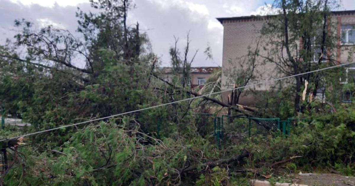 Під Херсоном пронісся ураган: дерева вирвані з корінням, зірвані дахи будинків
