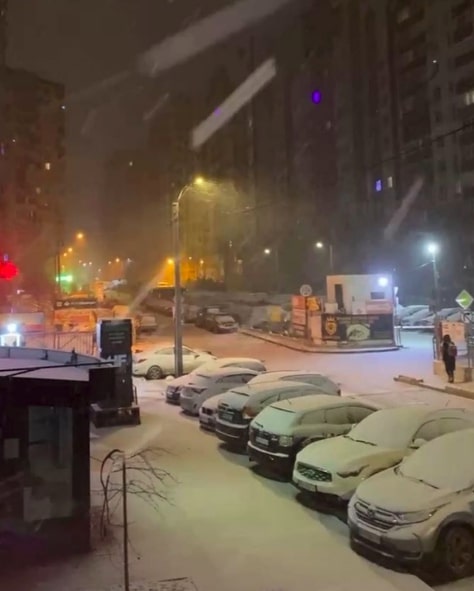 В Украину пришла настоящая зима: Одессу полностью засыпало снегом (фото)