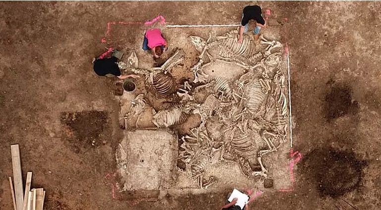 Тіла розташовані загадковим чином: археологи знайшли унікальну гробницю (фото)
