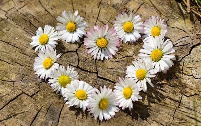 Тельцы столкнутся с ревностью, Девам не стоит скромничать: любовный гороскоп на 5 сентября