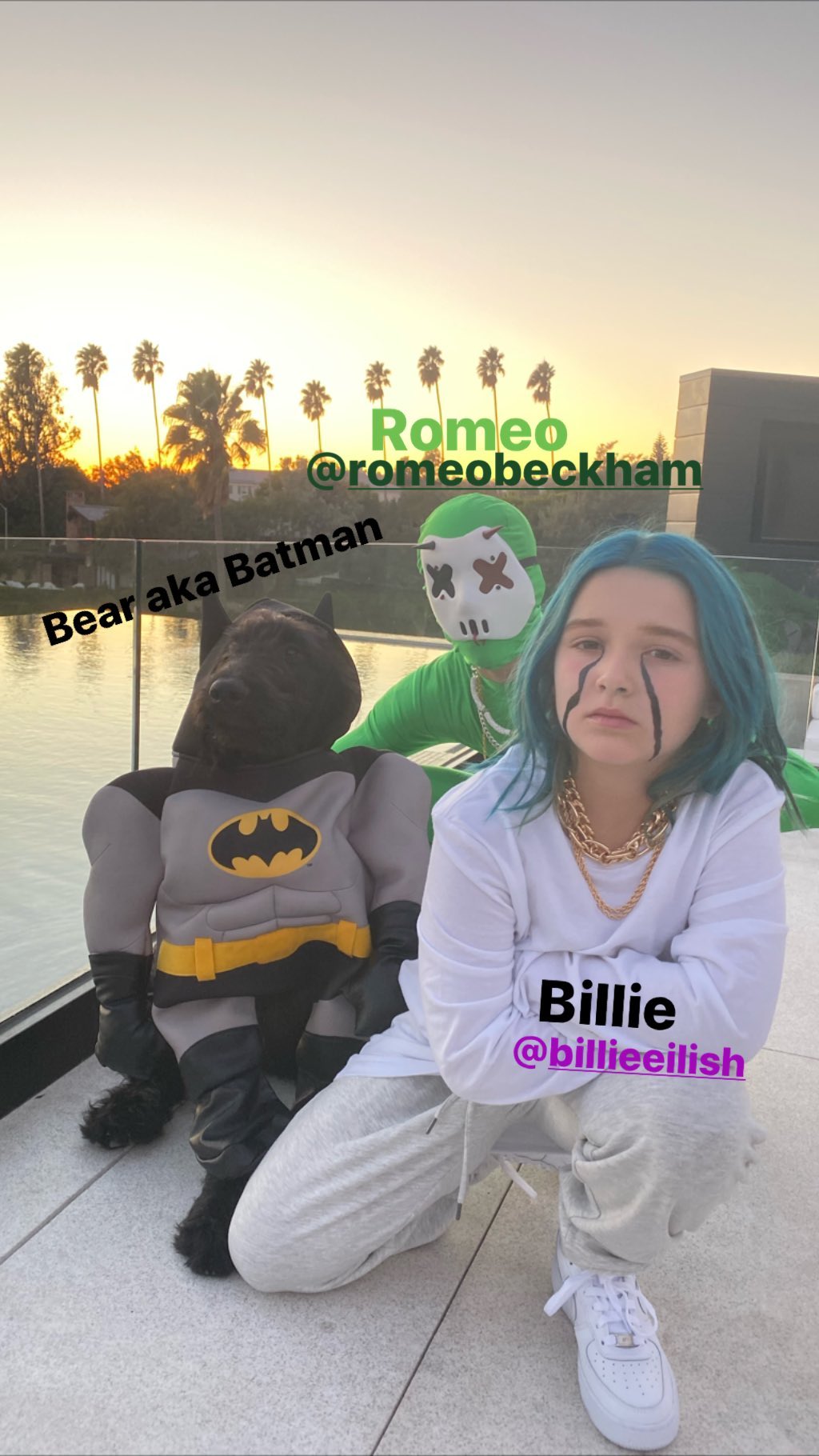 Страшно счастливые: Виктория и Дэвид Бекхэм с детьми громко отметили Хэллоуин