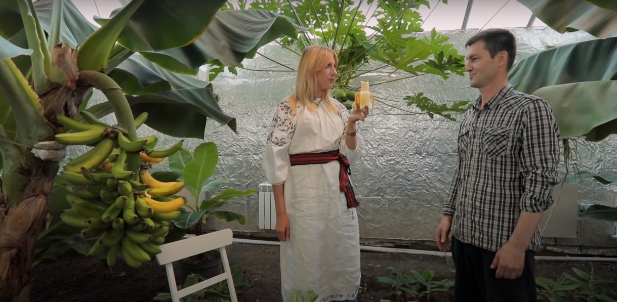 Авокадо прямо с дерева и &quot;морезаменитель&quot;: топ мест отдыха под Киевом от Леси Никитюк