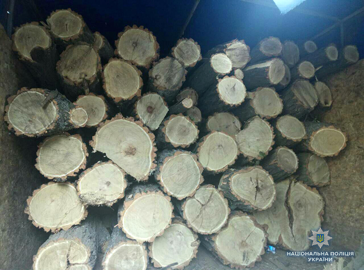 В Запорожье задержали 8 человек, которые незаконно вырубали деревья