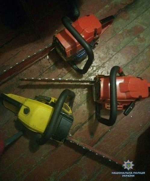 У Запоріжжі затримали 8 осіб, які незаконно вирубували дерева