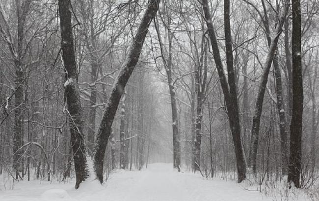 Контрасты и нестандартная погода на Крещение: синоптики дали прогноз на неделю