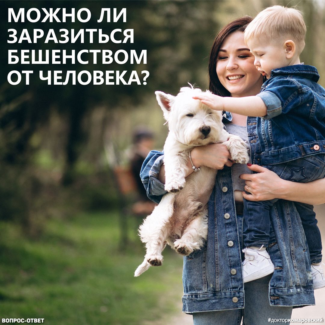 Наукового підтвердження немає: Комаровський відповів на важливе питання про сказ