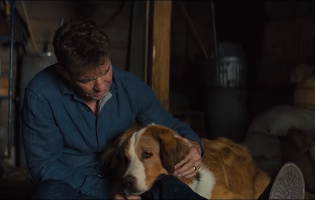 Кадр з фільму