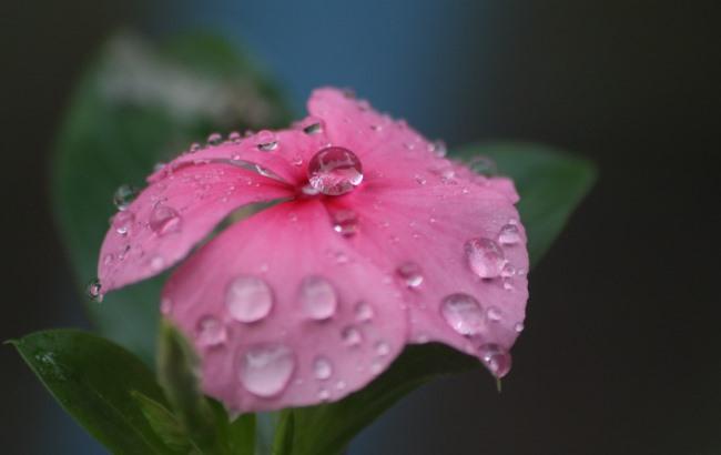 Итоги дня: 5 июля