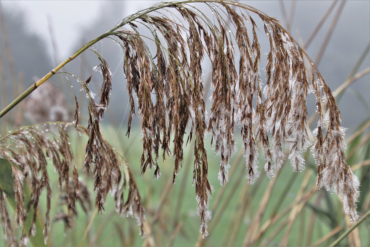 Свято 4 листопада: всі табу цього дня і прикмети