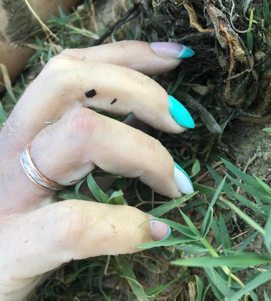 На херсонском пляже произошла страшная трагедия (фото 18+)