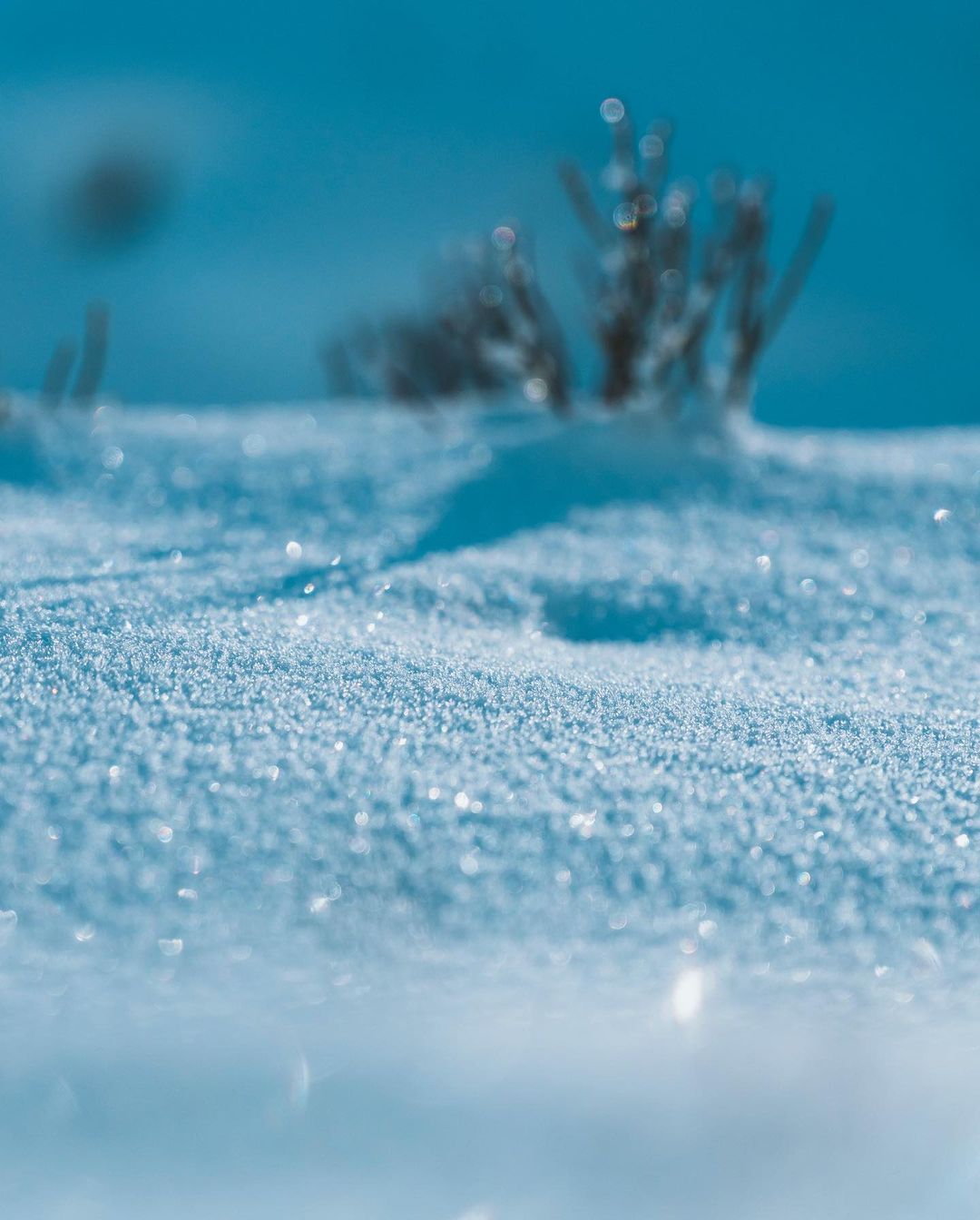 Зима в листопаді: регіон України засипає пухнастим снігом (фото)