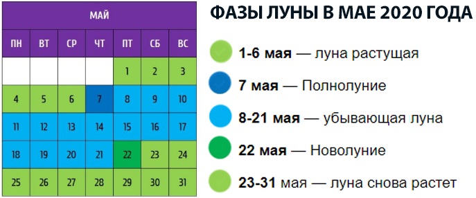 Посівний календар на травень 2020: коли можна і не можна садити і сіяти