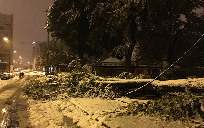 Во Франции из-за сильных снегопадов без света остались 195 тыс. домов