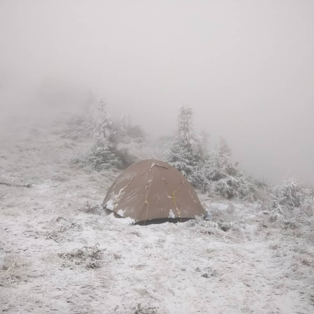 Гори потопають у туманах і снігу: неймовірна краса Карпат