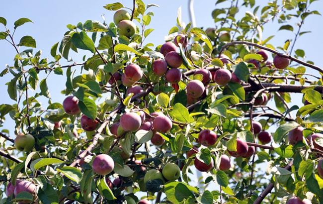 Итоги дня: 13 июля