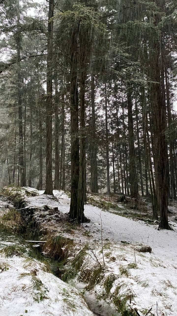 На популярному курорті рідкісне природне явище створило казковий пейзаж (фото і відео)